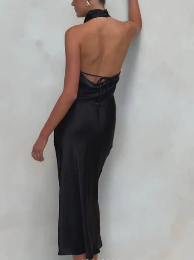 Aimishang Elegant Halter Backless Long Prom Dresses Sleeveless Charming Evening Party Dress for Women