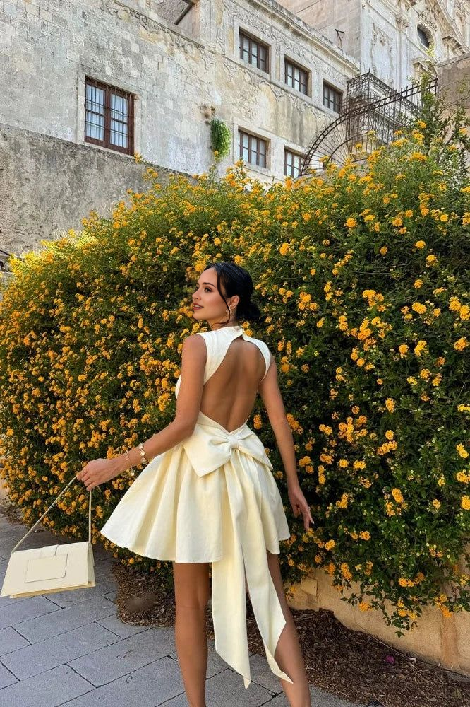 Aimishang Sweetheart A Line Homecoming Dress Lovely Graduation Dress Short Charming Birthday Party Dress With Bow