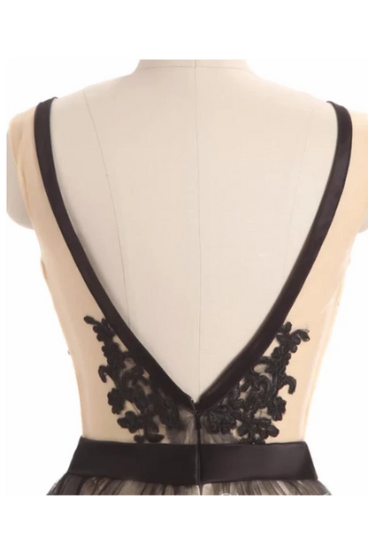 Aimishang A Line Homecoming Dresses See Through Black Lace Short Dresses V Neck