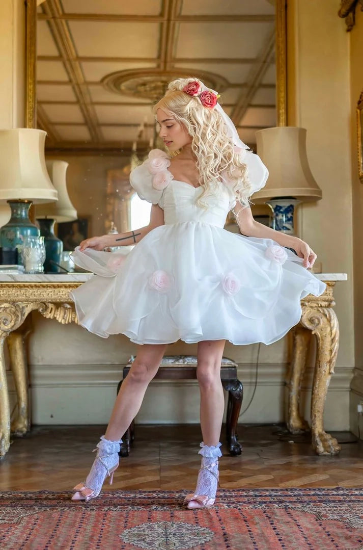 Aimishang Sweet A Line Short Sleeves Birthday Party Dress Cute Graduation Homecoming Dress with 3D Flowers