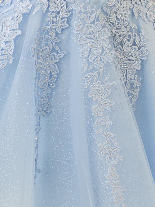 Wholesale A-Line Graduation Dresses Spaghetti-Straps Sky Blue Lace Homecoming Dress With Appliques